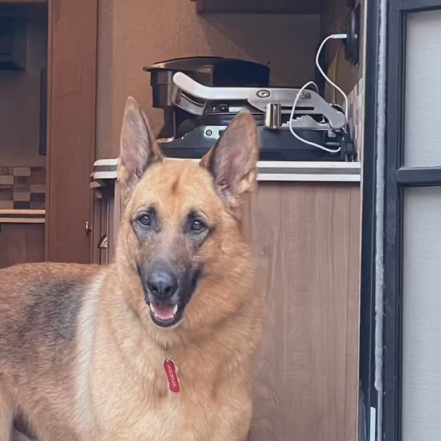 Doggie-N-Zymes from Doggie Organics. Video from the client himself.