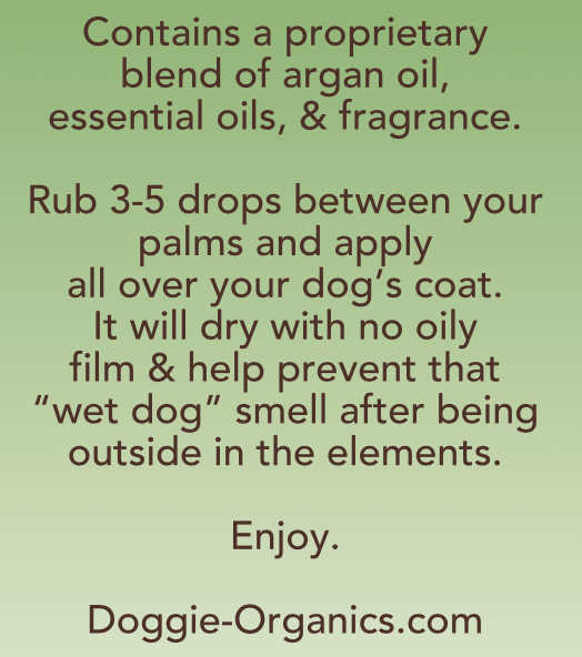 Screen Shot 2023-03-01 at 11.05.42 PM