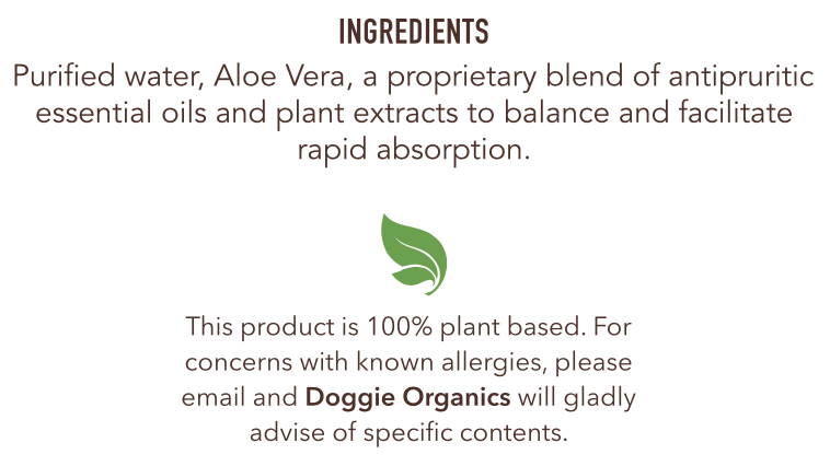 Screen Shot 2023-03-01 at 11.07.13 PM