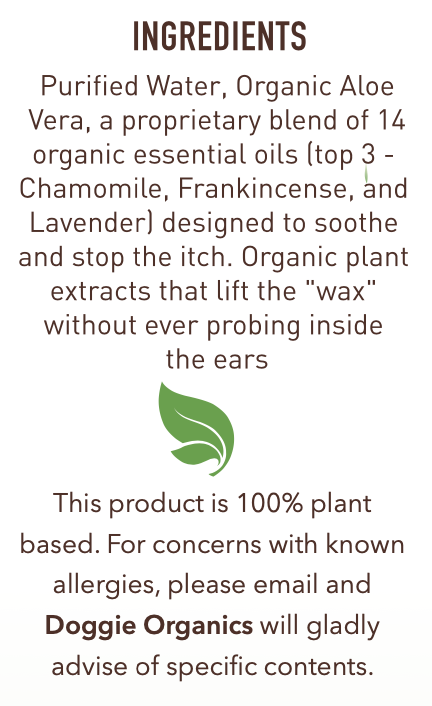 Screen Shot 2023-03-01 at 11.09.12 PM